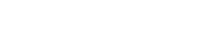 Technology Services & Solutions, Inc.